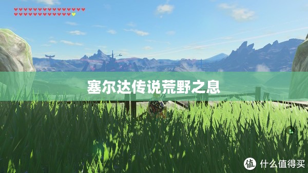 塞尔达传说荒野之息，开放世界的无尽魅力探索