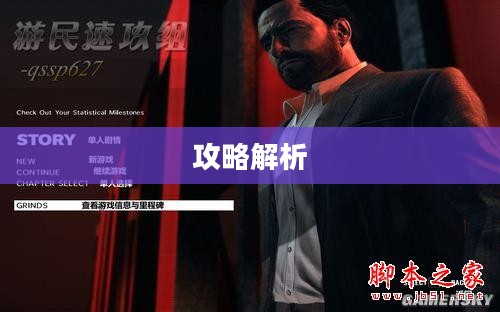 马克思佩恩3注册指南与攻略解析