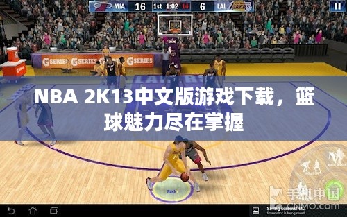 NBA 2K13中文版游戏下载,篮球魅力尽在掌握 NBA 2K13中文版游戏下载,篮球魅力尽在掌握