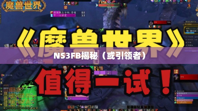 探索未知领域，引领者NS3FB揭秘