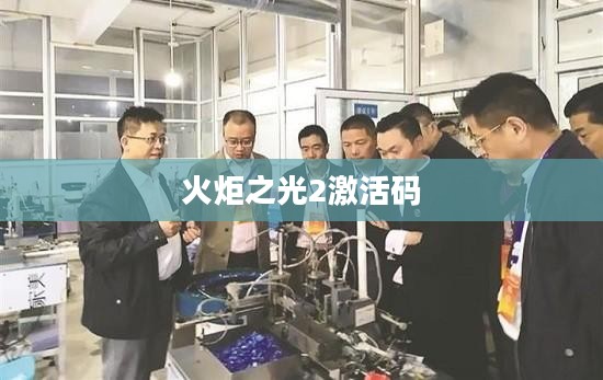 火炬之光2激活码探索与获取攻略