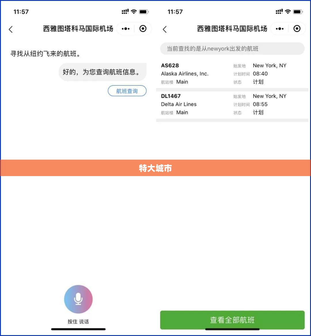 特大城市2013，挑战与机遇同行