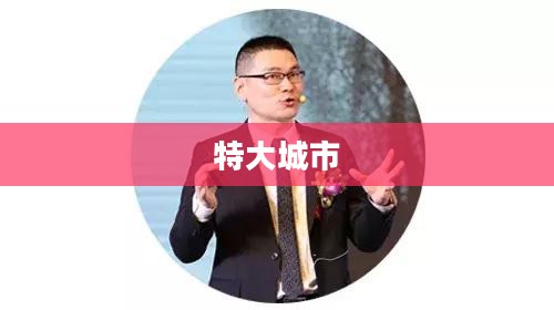 特大城市2013，挑战与机遇同行