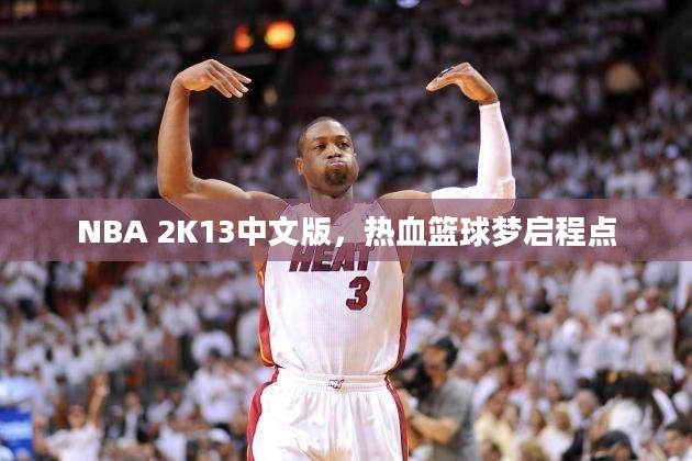 NBA 2K13中文版，热血篮球梦启程点