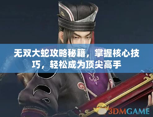 无双大蛇攻略秘籍，掌握核心技巧，轻松成为顶尖高手