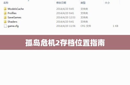 孤岛危机2存档位置指南 孤岛危机2存档位置指南
