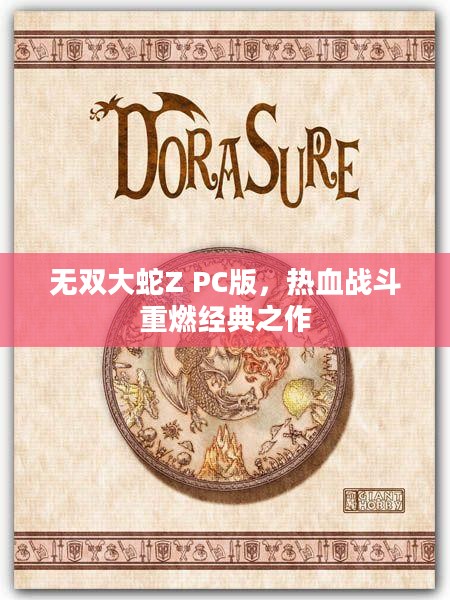 无双大蛇Z PC版，热血战斗重燃经典之作