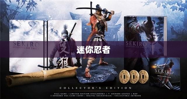 迷你忍者，独特冒险之旅启程