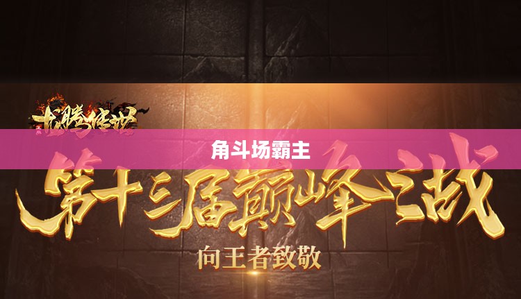 角斗场霸主，荣耀与力量的巅峰之战