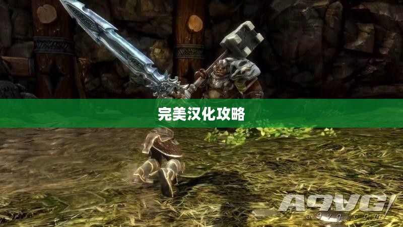 阿玛拉王国完美汉化攻略大全 阿玛拉王国完美汉化攻略大全