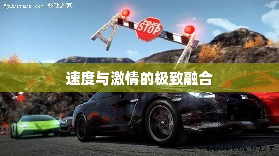 极品飞车14中文版，速度与激情的极致融合