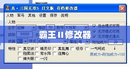 霸王Ⅱ修改器的深度解析与应用指南