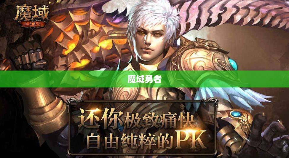 魔域勇者之战，探索未知领域的对抗之旅