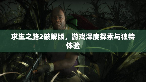 求生之路2破解版，游戏深度探索与独特体验
