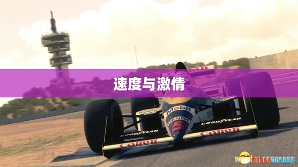 F1 2013，速度与激情的重燃之夜