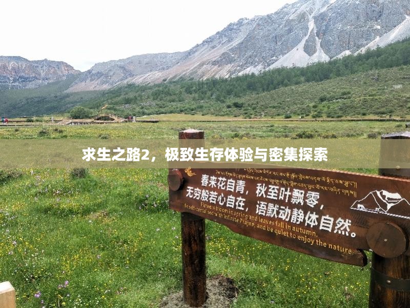 求生之路2,极致生存体验与密集探索 求生之路2,极致生存体验与密集探索