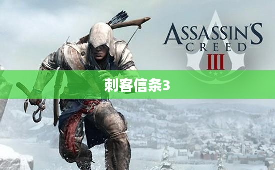 刺客信条3黑屏问题解析及解决方案分享 刺客信条3黑屏问题解析及解决方案分享