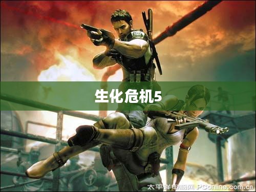 生化危机5,PC版的新挑战与机遇解析 生化危机5,PC版的新挑战与机遇解析
