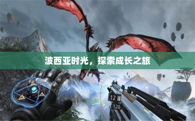 波西亚时光，探索成长之旅