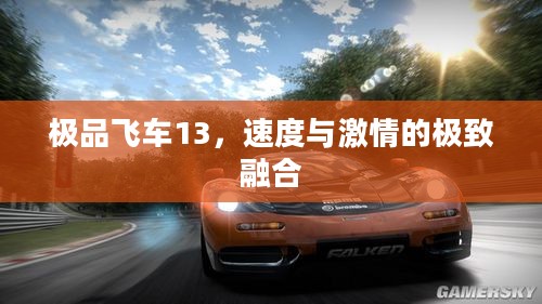 极品飞车13,速度与激情的极致融合 极品飞车13,速度与激情的极致融合