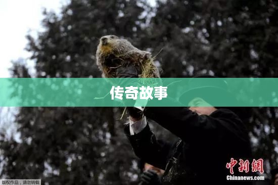 阿甘起源，人性光辉与命运无常的传奇故事