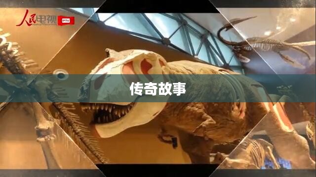 阿甘起源，人性光辉与命运无常的传奇故事