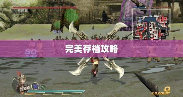 大蛇无双Z完美存档攻略指南 大蛇无双Z完美存档攻略指南
