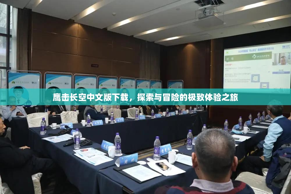 鹰击长空中文版下载，探索与冒险的极致体验之旅
