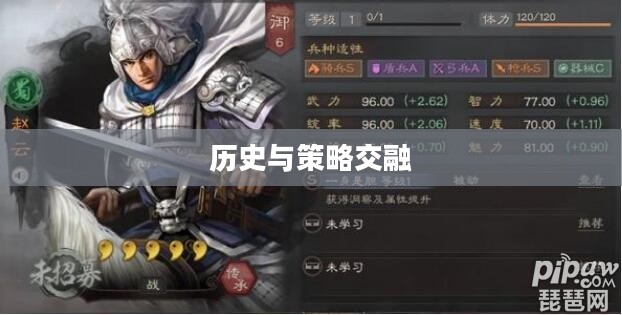 三国志5，历史与策略的极致交融