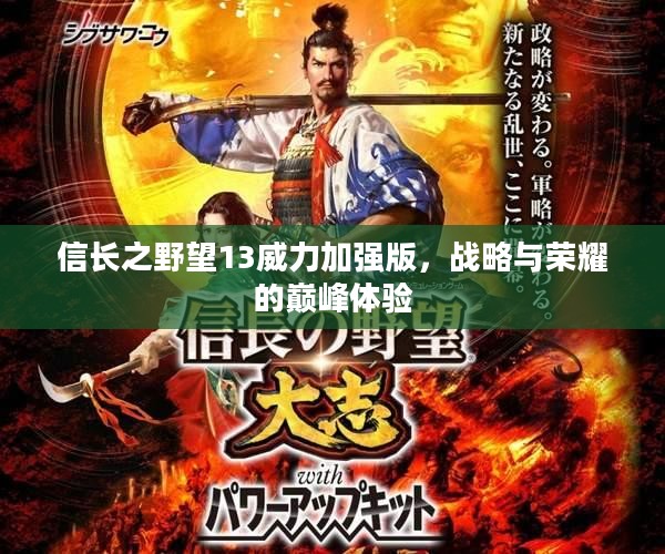 信长之野望13威力加强版，战略与荣耀的巅峰体验