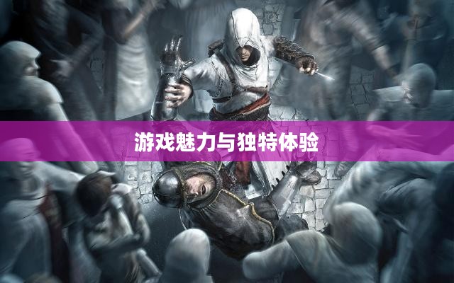 刺客信条PC版，游戏魅力与独特体验探究
