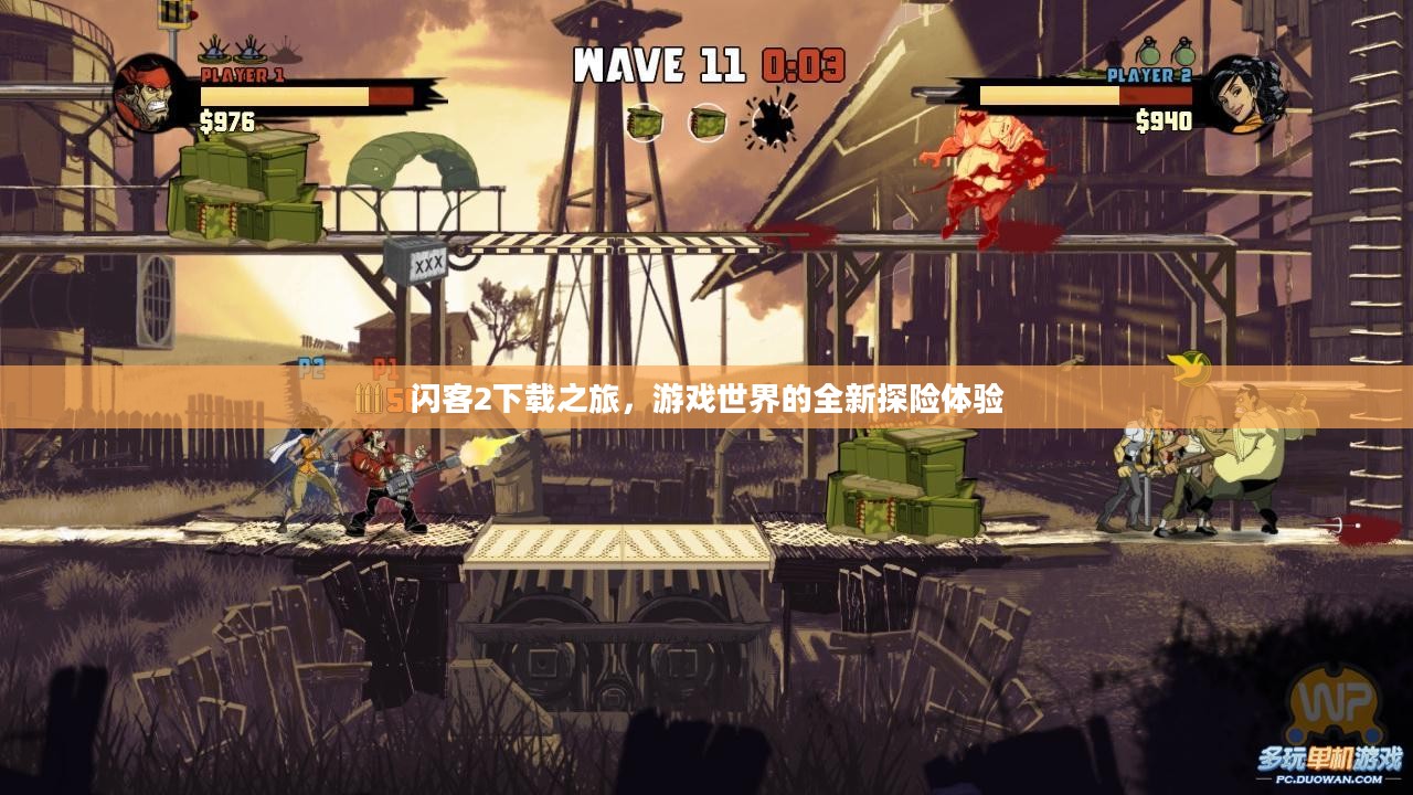 闪客2下载之旅，游戏世界的全新探险体验