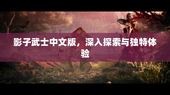 影子武士中文版，深入探索与独特体验