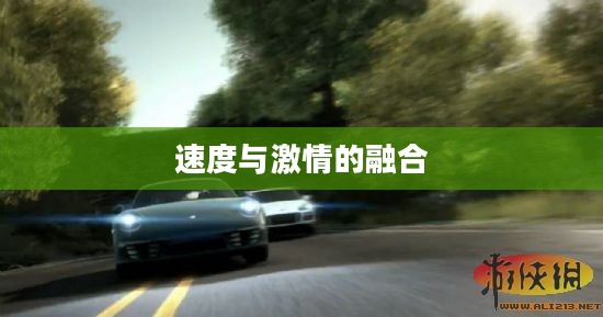 极品飞车16中文版，速度与激情的极致融合