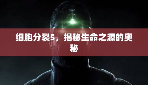 细胞分裂5,揭秘生命之源的奥秘 细胞分裂5,揭秘生命之源的奥秘