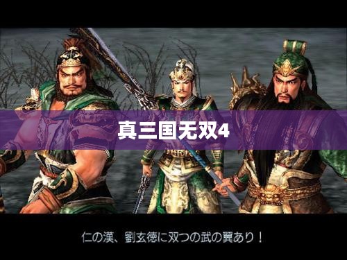 真三国无双4，荣耀与策略的无缝融合之旅