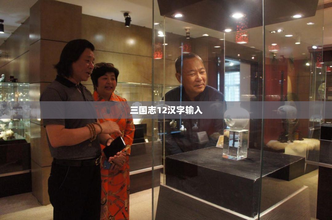 三国志12汉字输入，游戏与文化融合之典范