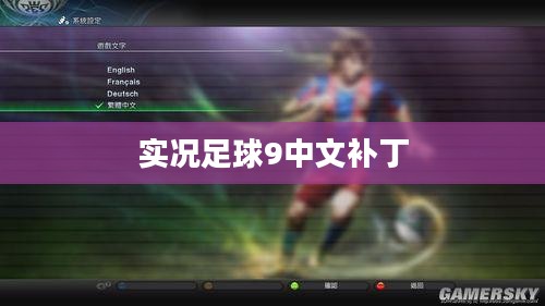 实况足球9中文补丁,游戏爱好者的福音选择 实况足球9中文补丁,游戏爱好者的福音选择
