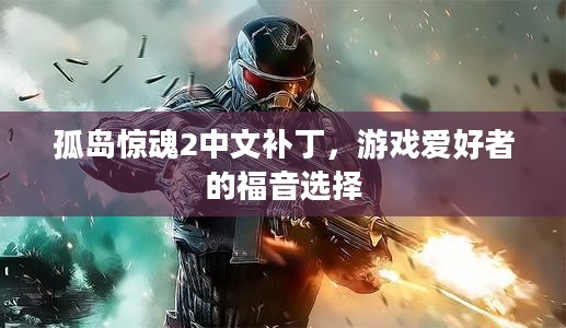 孤岛惊魂2中文补丁,游戏爱好者的福音选择 孤岛惊魂2中文补丁,游戏爱好者的福音选择