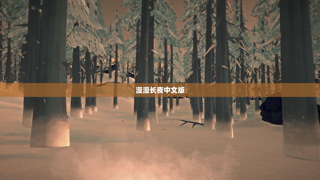 漫漫长夜中文版,游戏深度探索与体验之旅 漫漫长夜中文版,游戏深度探索与体验之旅