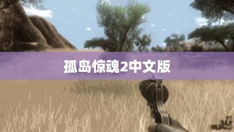 孤岛惊魂2中文版,深入的游戏探索与体验 孤岛惊魂2中文版,深入的游戏探索与体验
