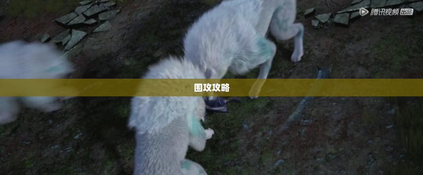 围攻攻略大全，策略、技巧与实战经验分享汇总