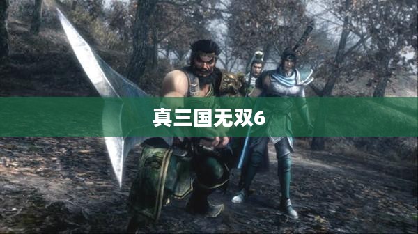 真三国无双6，重温经典，全方位游戏下载攻略