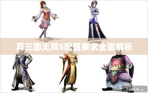 真三国无双5配置要求全面解析