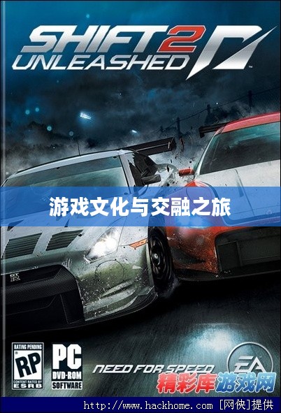 极品飞车15汉化之路，游戏文化与交融之旅