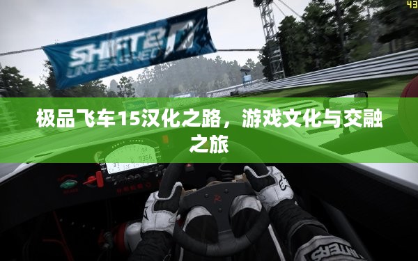 极品飞车15汉化之路，游戏文化与交融之旅