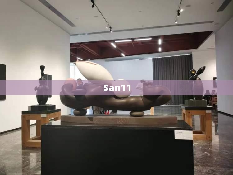 San11,先锋力量探索未知世界 San11,先锋力量探索未知世界