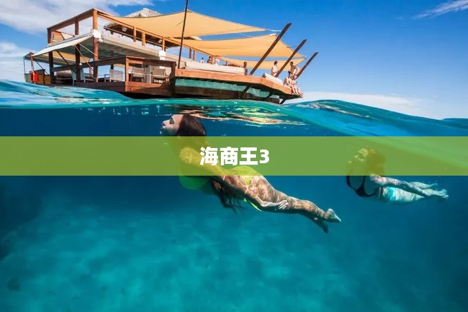 海商王3下载，开启海洋贸易新纪元探索之旅