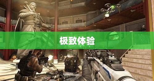 使命召唤9，玩家的追求与极致体验