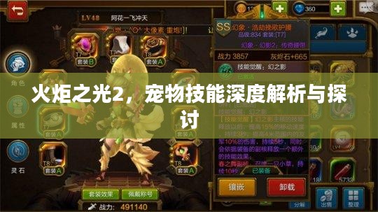 火炬之光2，宠物技能深度解析与探讨
